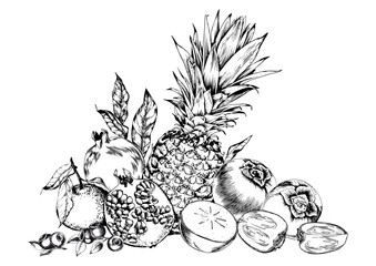 Pineapples, pomegranates and sweet fruits arrangement. Black and white hand drawn vector illustration.