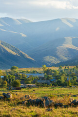 Naklejka premium Urasar village at sunset time, Armenia