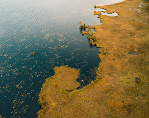 swampy shore of lake with red grass in autumn, top view