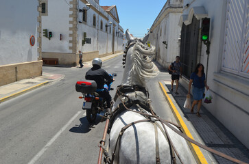 Caballo blanco tirando de calesa por las calles del Puerto de Santa Maria