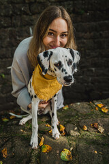 junger Dalmatiner Hund (Welpe / Junghund) mit gelben Halstuch im Herbst und junger hübscher Frau