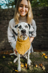 junger Dalmatiner Hund (Welpe / Junghund) mit gelben Halstuch im Herbst und junger hübscher Frau