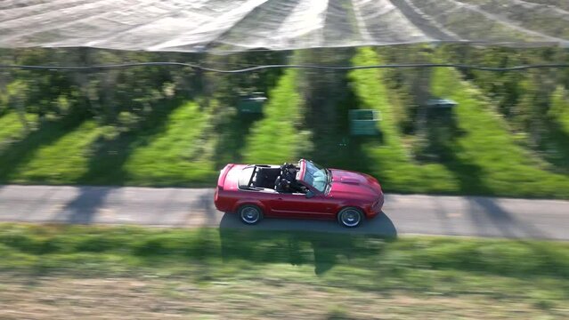 Un p&egrave;re et sa fille font une promenade en voiture cabriolet rouge dans la campagne