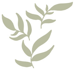 Hand drawn floral element for design. Set of green leaves. Abstract foliage shapes. PNG illustration.