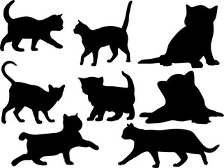 Set of Cats