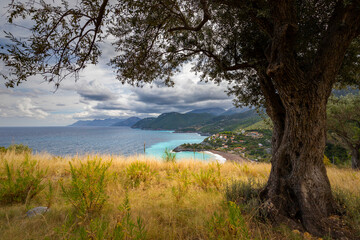 Fototapeta Greckie krajobrazy na wyspie Evia obraz