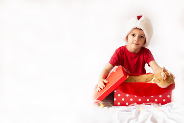 cute boy in a New Year's cap hugs a beautiful gift box with a ginger cat. beautiful red cat in a New Year's hat sleeps in a red gift box.white background