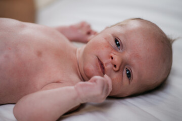 two week old very cute baby naked on a white sheet. High quality photo