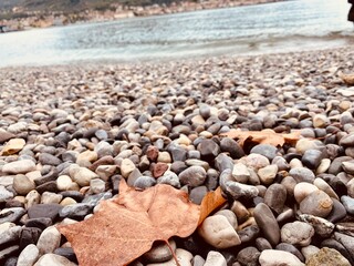 Herbst am Kies Strand mit Ahornblatt  