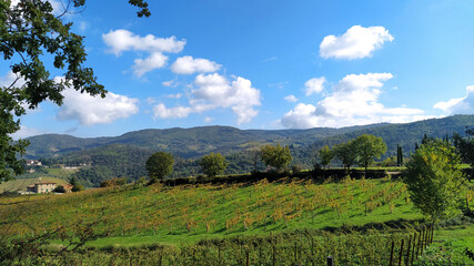 Fototapeta na wymiar Panorami del Chianti in autunno. Toscana, Italia