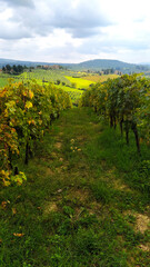 Panorami del Chianti in autunno. Toscana, Italia