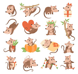 Cute Opossum Animal Engaged in Different Activity Big Vector Set