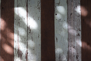Wooden wall with sun ray reflects,  empty shiny wooden wall for products display