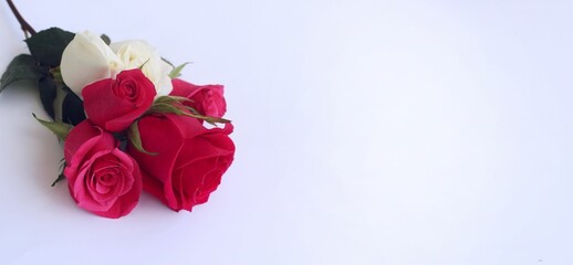 Red roses on a white background. Festive flower arrangement. Background for a greeting card.