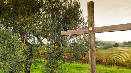 Panorami del Chianti in autunno. Toscana, Italia