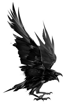 recommend clip art: drawn raven bird. bird in flight on a white background