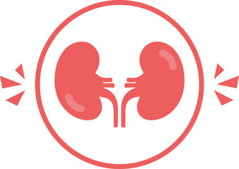 Kidney icon illustration. Urology logo design template. Kidney organ glyph icon