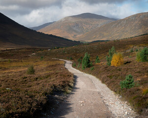 Scottish Highland Mountain scape, featuring the rugged and majestic landscape home to Balmoral Castle, wild deer, golden eagles and highland cows.

