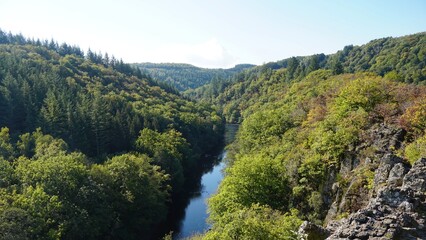 La Roche en Ardennes, Burg, Ourthe, Fluss, Blüte