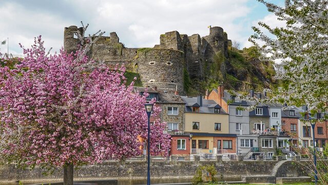 La Roche en Ardennes, Burg, Ourthe, Fluss, Bl&uuml;te