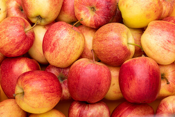 a bunch of red yellow apples