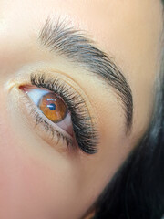 Close up of eyelash Extensions in beauty salon macro eye