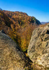 autumn landscape in the mountains