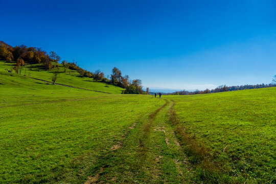 green field and sky