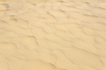natural background, sandy desert surface with wind ripples