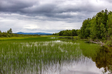 Obraz premium Landscapes overlooking the river. Kola Peninsula, Arctic Circle, Russia