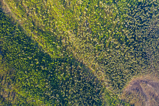 Forest tundra, top view. Reserve Pavik. Arctic. Russia