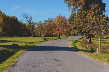 Country road in beautiful natural surroundings.Autumn season.