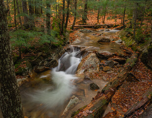 Side Cascade from Pemigewasset River	