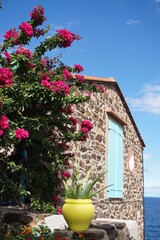 Stone house exterior wall in Meditteranean seaside town of Collioure, decorated with plant pot, flowers and blue wooden window shutter, against backdrop of blue skies