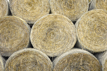 hay bales in a field