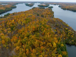 autumn in the forest