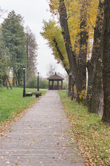 Walkway in the park in the summer