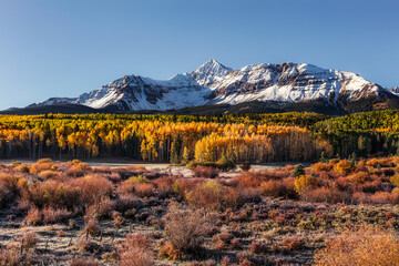Fall colors and snowcapped mountains in Silver Pick Basin near Telluride, Colorado
