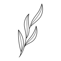 Doodle line art branch with leaves. Hand drawn twig, monochrome linear garden floral elements