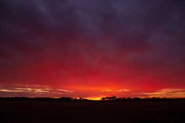 Fototapeta premium Beautiful purple and orange sunset over the field and forest.