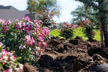 Outdoor Landscaping Lawn Gardening and Retaining Wall with Plants