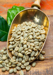 Green coffee beans from South America coffee producing region, from Colombia and Brazil with mountain ranges and climate ideal for coffee growing