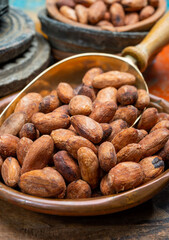Cocoa or cacao beans, used in hot chocolate drink, chocolate, butter and solids