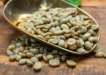 Green coffee beans from South America coffee producing region, from Colombia and Brazil with mountain ranges and climate ideal for coffee growing