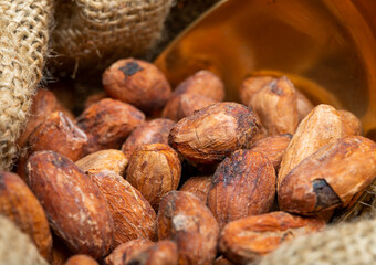 Cocoa or cacao beans, used in hot chocolate drink, chocolate, butter and solids
