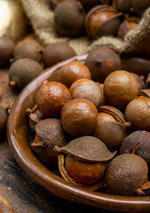 Obraz premium New harvest of ripe fresh Australian macadamia nuts in shell with leaves