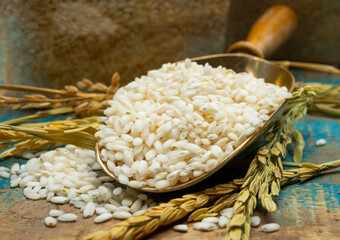 White italian arborio rice used for making risotto dish