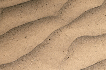 sand texture background In color