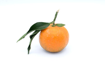 Douceur méditerranéenne : Clémentine de Corse, symbole de fraîcheur, entre deux feuilles sur un fond blanc éclatant / Clementine from Corsica with 2 leaves on white background