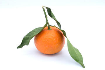 Clémentine de Corse avec feuilles sur fond blanc / Clementine from Corsica with leaves on white background